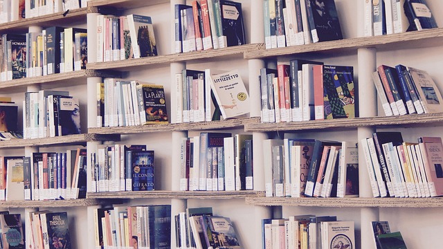 Ilustasi perpustakaan minimalis di dalam ruangan yang kecil. (Pixabay)