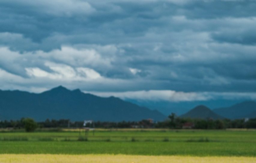 Ilustrasi Langit yang mendung di ladang sawah yang luas. (pixabay)